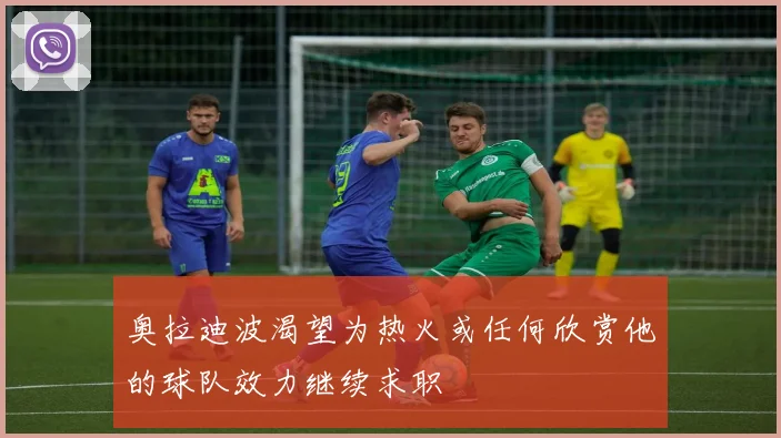 奥拉迪波渴望为热火或任何欣赏他的球队效力继续求职