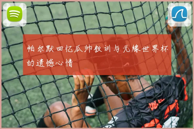 帕尔默回忆瓜帅教训与无缘世界杯的遗憾心情