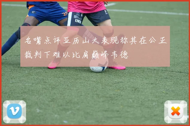 名嘴点评亚历山大表现称其在公正裁判下难以比肩巅峰韦德